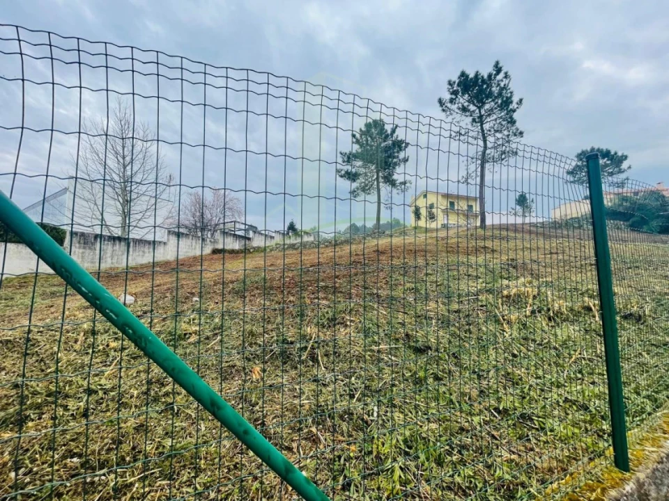 Terreno para Venda em Seixas Foto 3