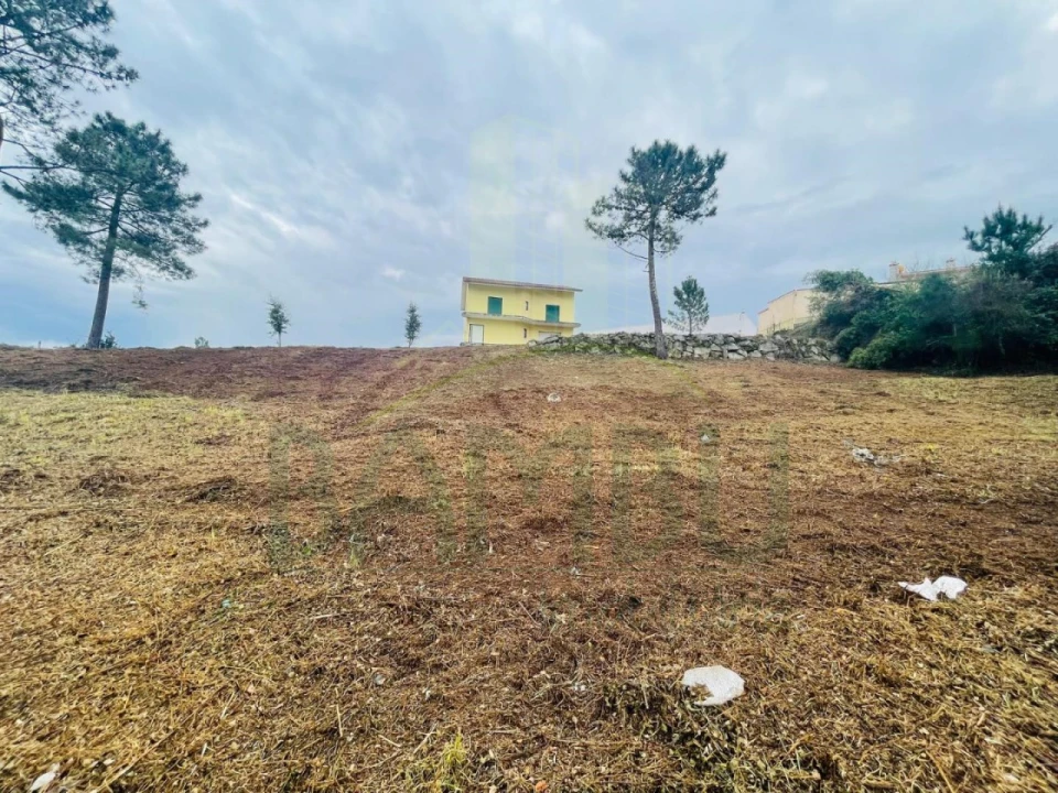 Terreno para Venda em Seixas Foto 1
