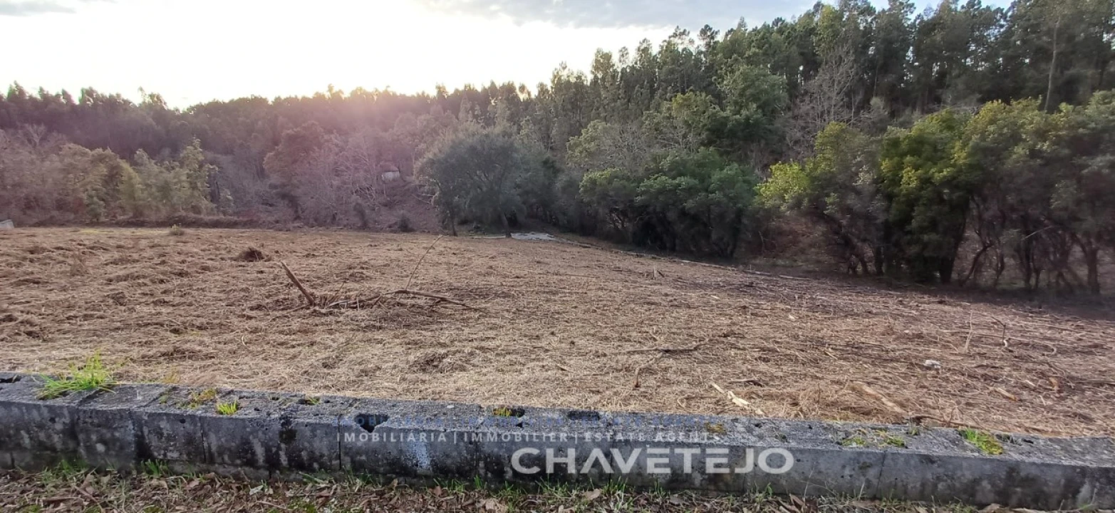 Terreno para Venda em Cernache do Bonjardim, Nesperal e Palhais Foto 1