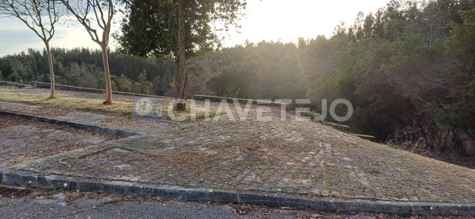 Terreno para Venda em Cernache do Bonjardim, Nesperal e Palhais Foto 3