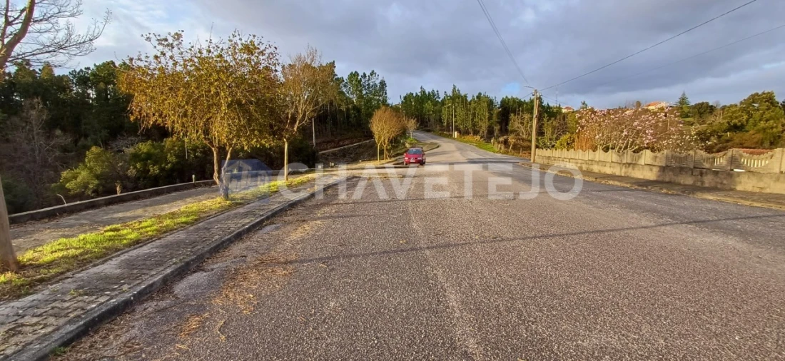 Terreno para Venda em Cernache do Bonjardim, Nesperal e Palhais Foto 4