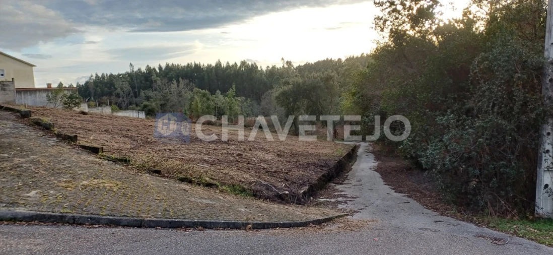 Terreno para Venda em Cernache do Bonjardim, Nesperal e Palhais Foto 2