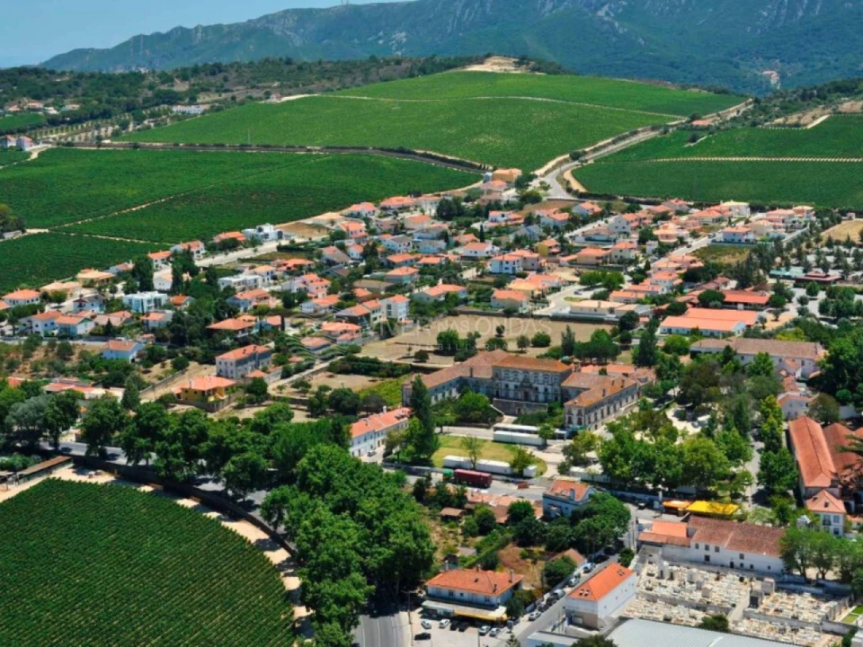 Moradia T3 para Venda em Azeitão (São Lourenço e São Simão) Foto 7