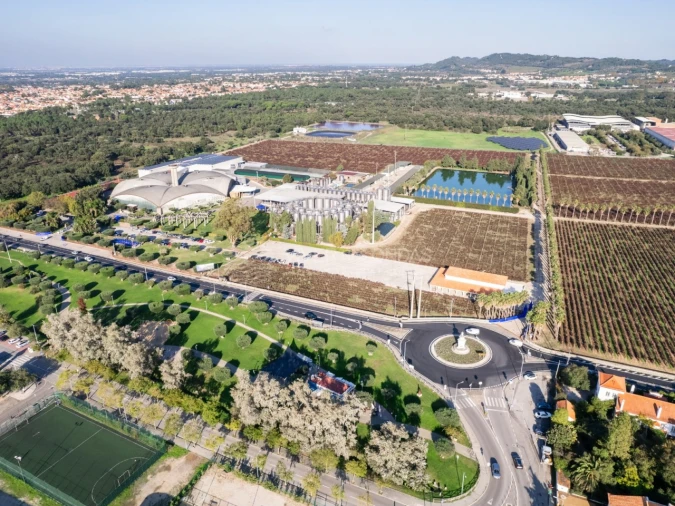 Moradia T3 para Venda em Azeitão (São Lourenço e São Simão) Foto 5