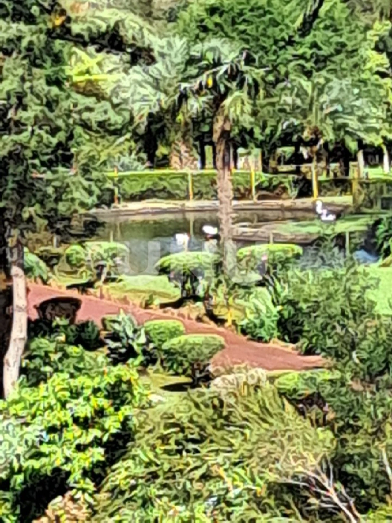 Moradia T1 para Venda em Lomba da Fazenda Foto 26