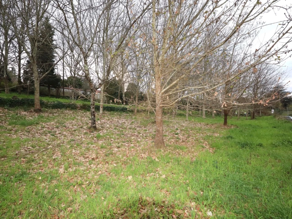 Terreno para Venda em Arcozelo Foto 4