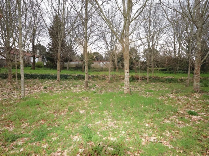 Terreno para Venda em Arcozelo Foto 5