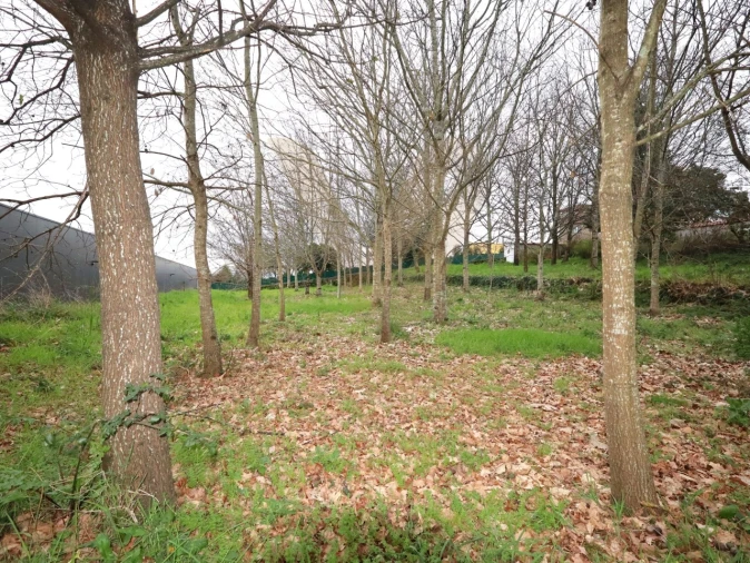 Terreno para Venda em Arcozelo Foto 6