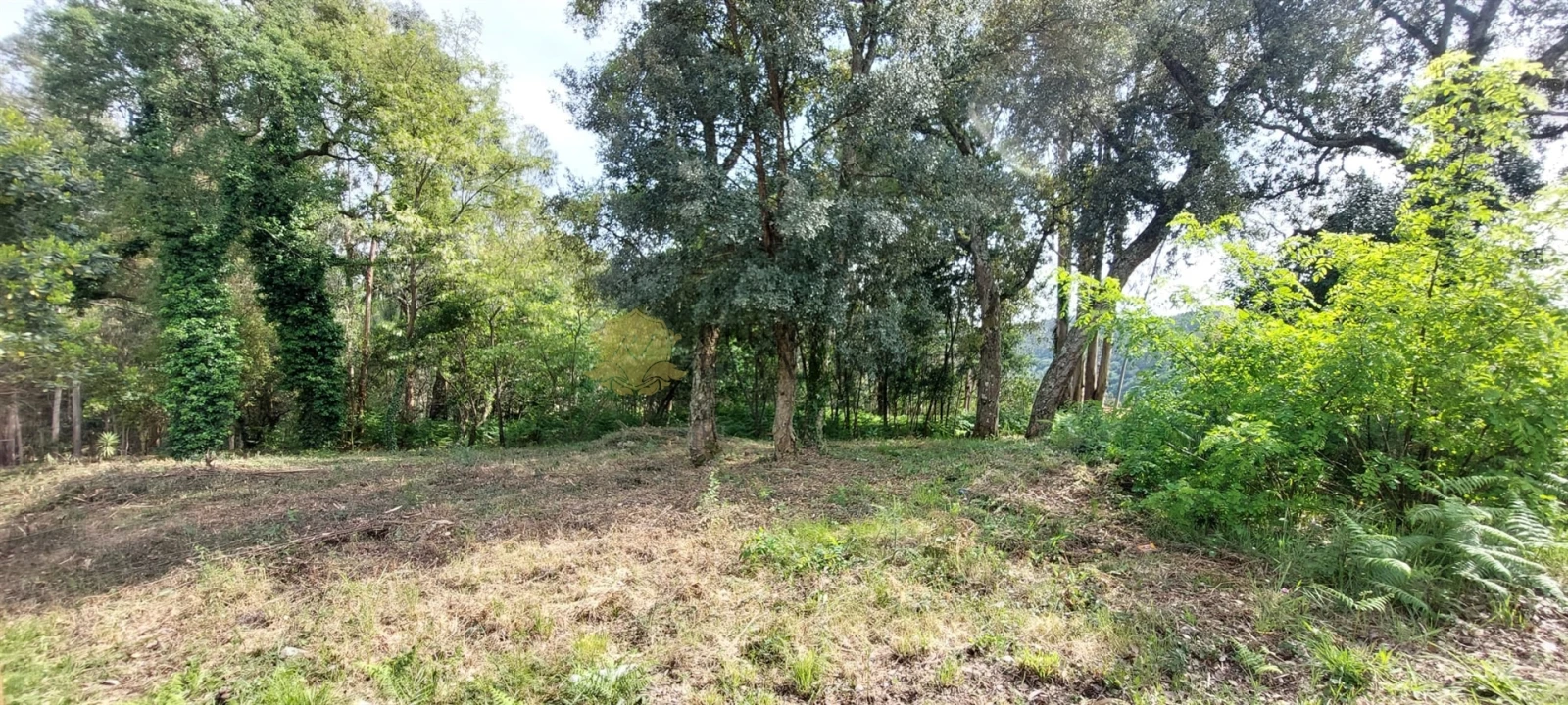 Terreno para Venda em Gondomar (São Cosme), Valbom e Jovim Foto 5