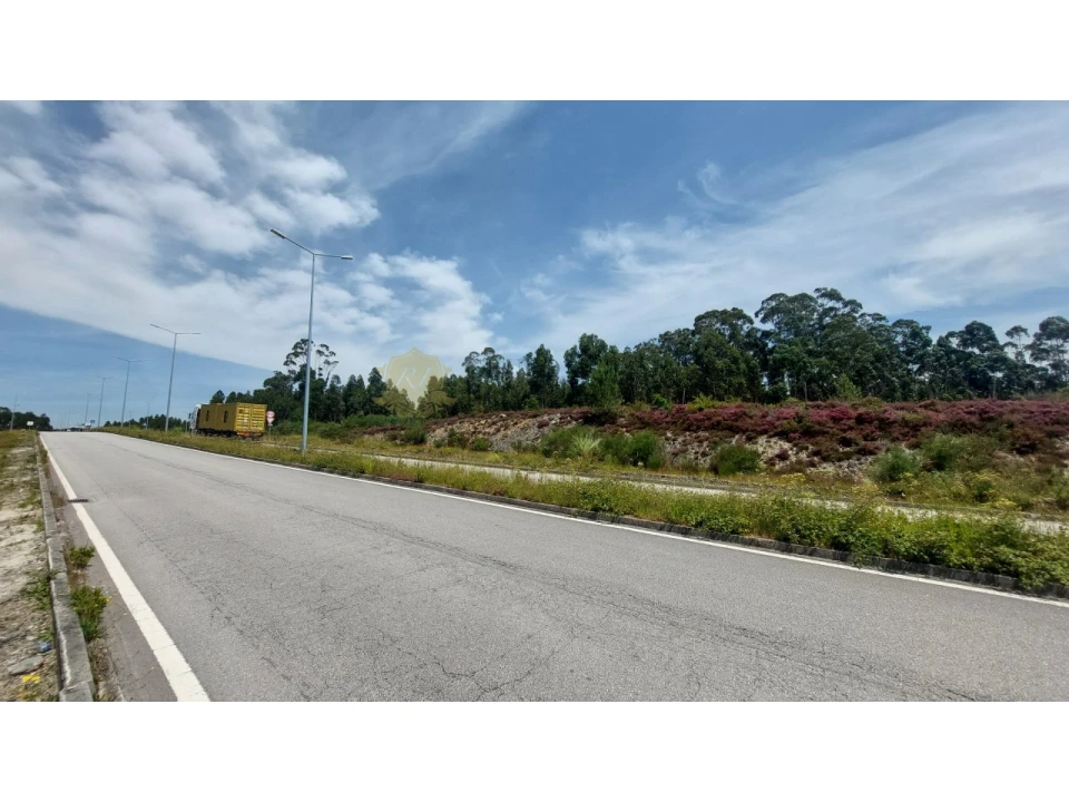 Terreno para Venda em Campo e Sobrado Foto 1