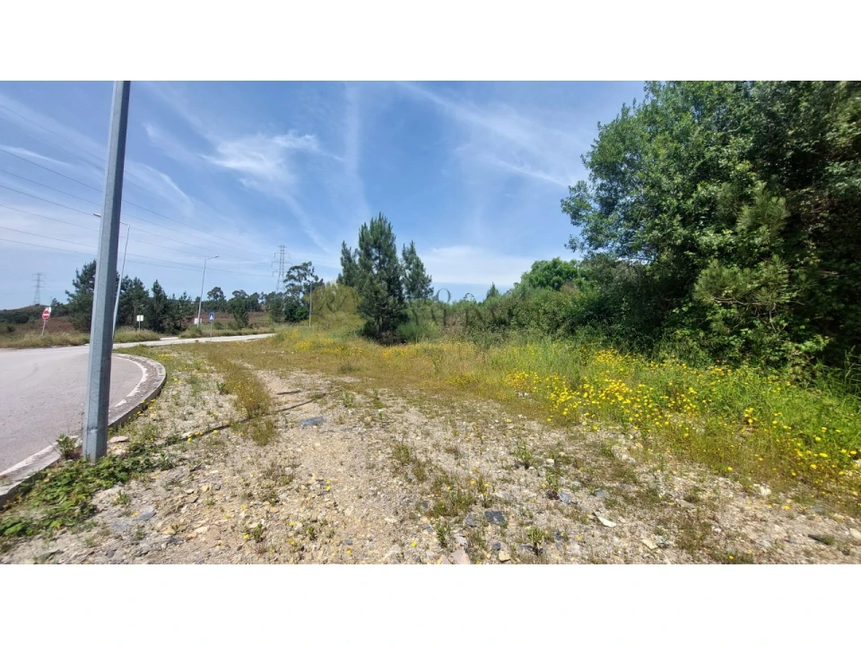 Terreno para Venda em Campo e Sobrado Foto 11