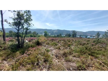 Terreno para Venda em Campo e Sobrado