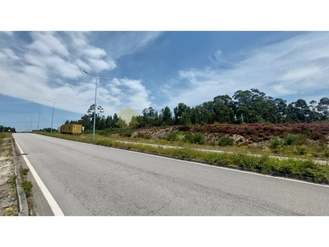 Terreno para Venda em Campo e Sobrado Foto 1