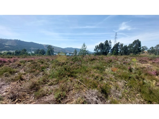 Terreno para Venda em Campo e Sobrado Foto 4