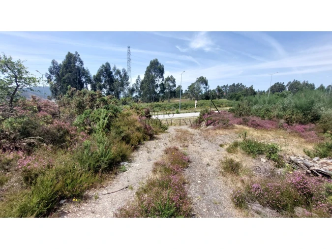 Terreno para Venda em Campo e Sobrado Foto 9