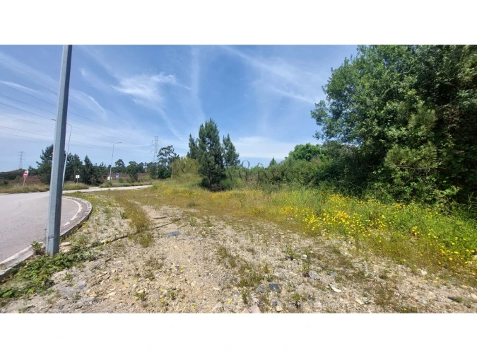 Terreno para Venda em Campo e Sobrado Foto 11