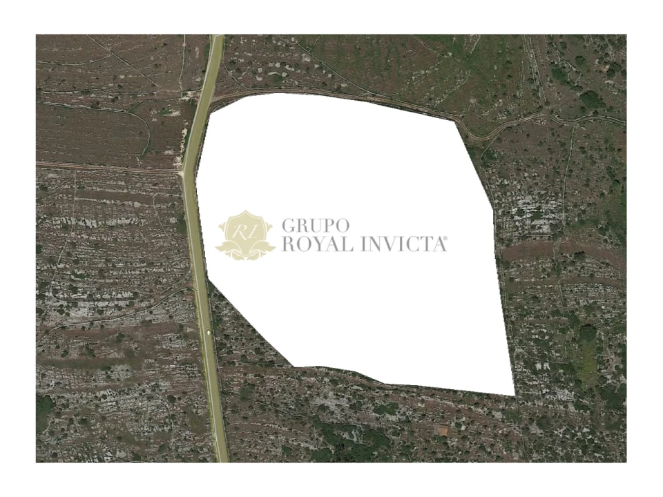 Terreno para Venda em Serra de Santo Antonio Foto 2