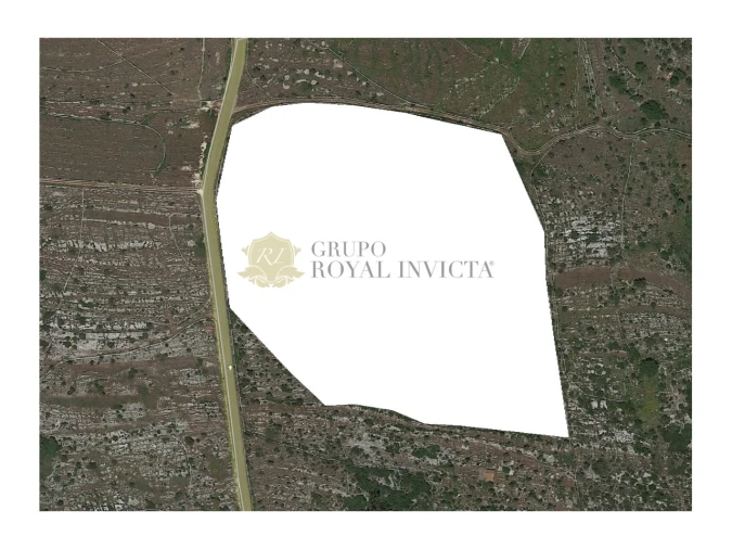 Terreno para Venda em Serra de Santo Antonio Foto 2