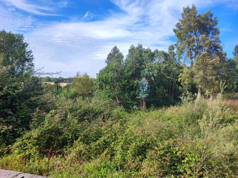 Terreno para Venda em Serzedo e Perosinho Foto 2