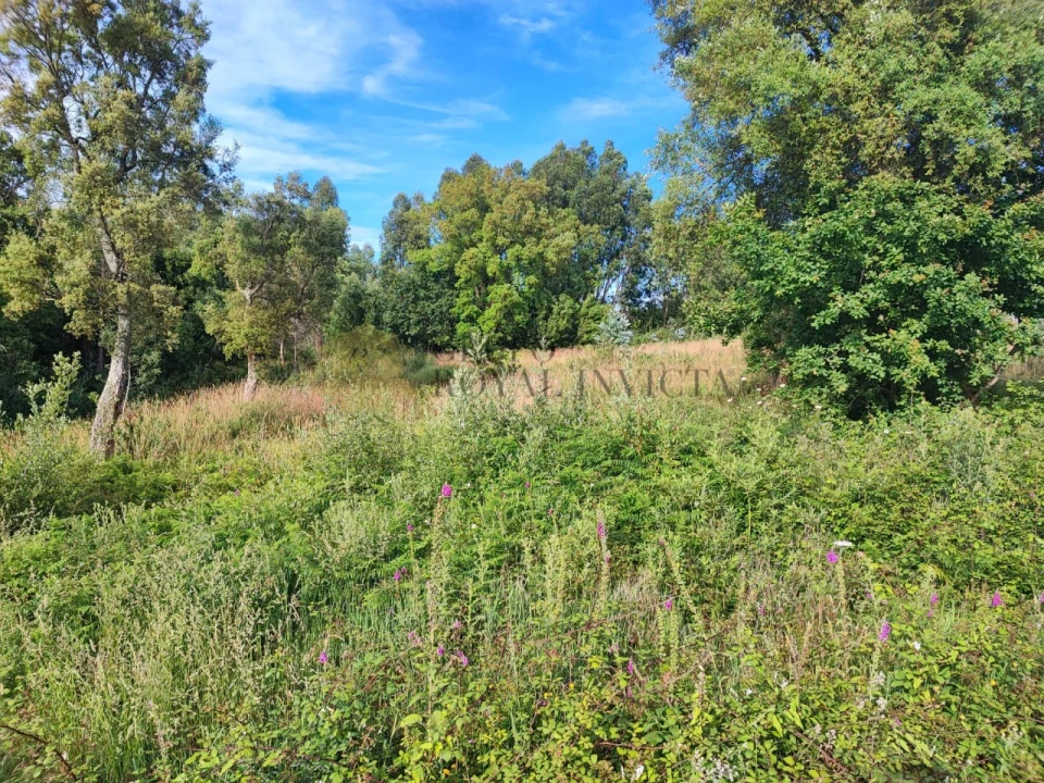 Terreno para Venda em Serzedo e Perosinho Foto 3