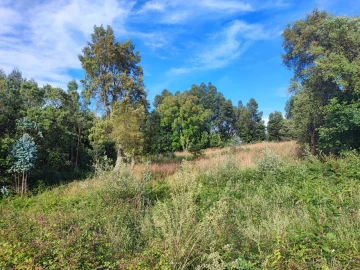 Terreno para Venda em Serzedo e Perosinho