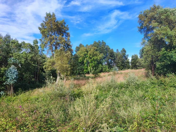 Terreno para Venda em Serzedo e Perosinho Foto 4