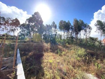 Terreno para Venda em Fânzeres e São Pedro da Cova