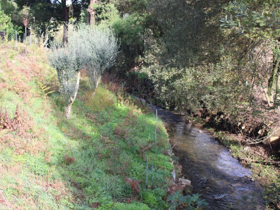 Terreno para Venda em Avintes Foto 3