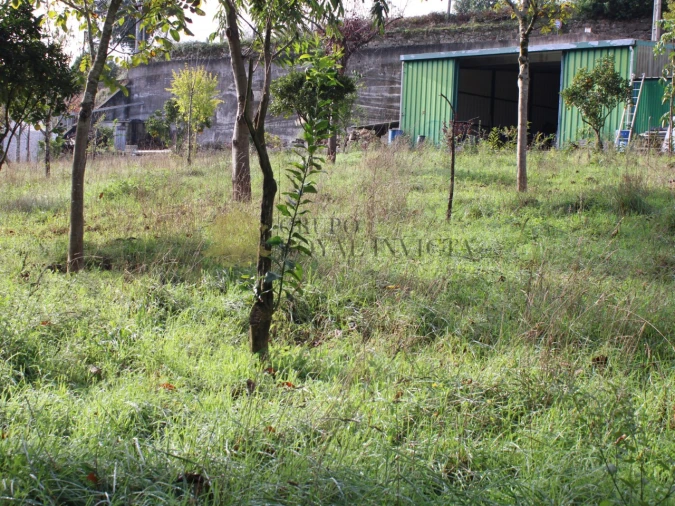 Terreno para Venda em Avintes Foto 4