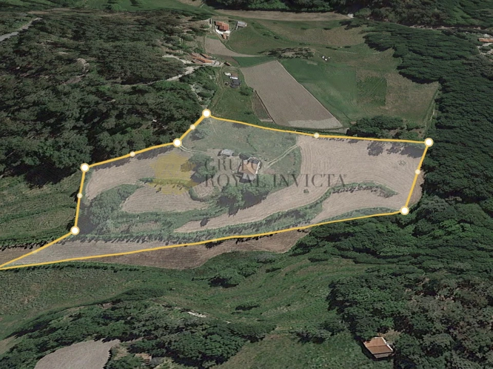 Quinta T1 para Venda em Ribas Foto 2