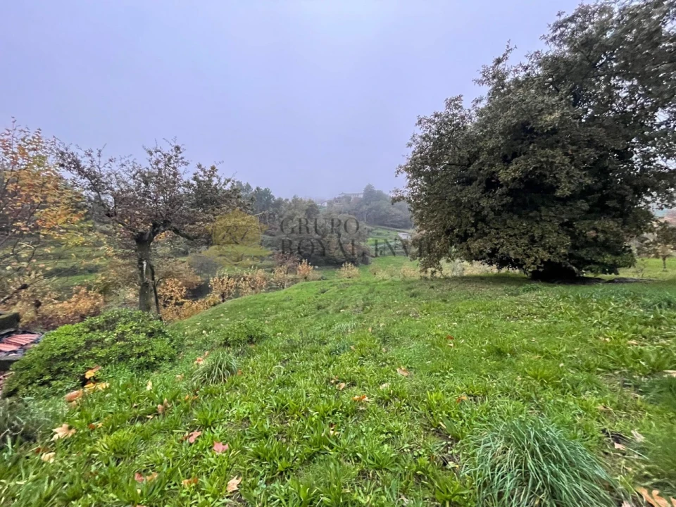 Quinta T1 para Venda em Ribas Foto 4