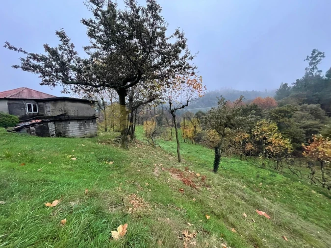 Quinta T1 para Venda em Ribas Foto 3