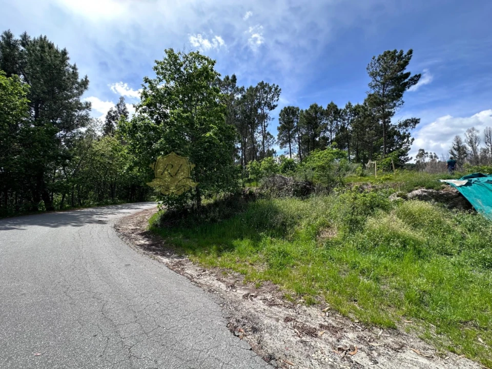 Terreno para Venda em Ribas Foto 3