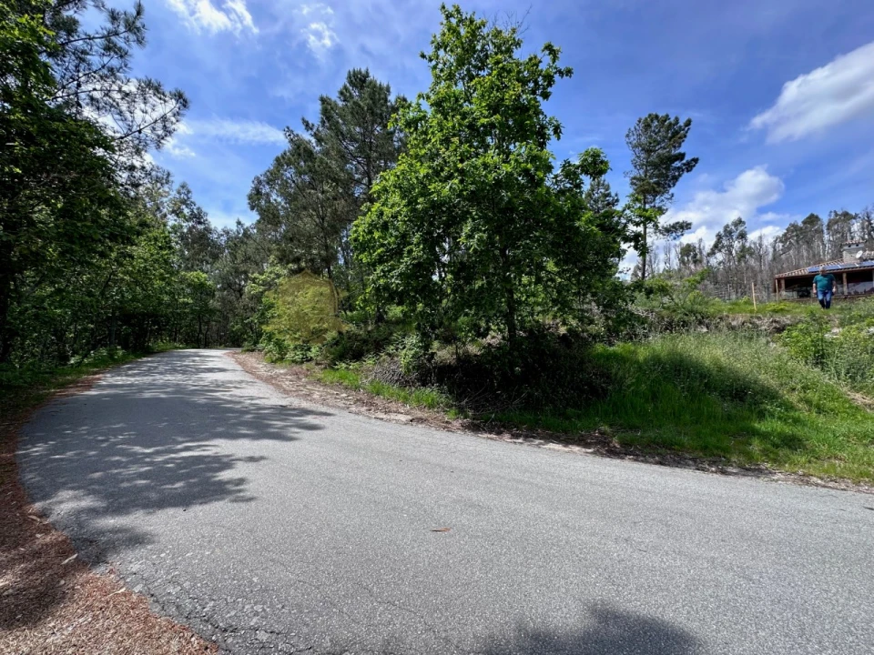 Terreno para Venda em Ribas Foto 10