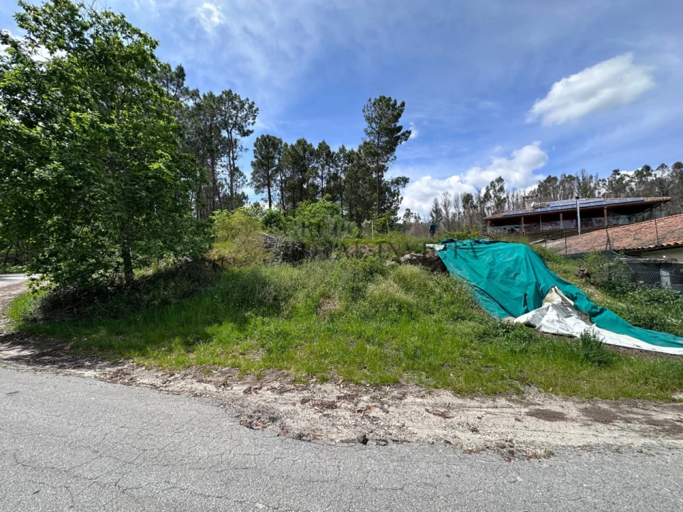 Terreno para Venda em Ribas Foto 11