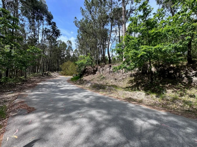 Terreno para Venda em Ribas Foto 2
