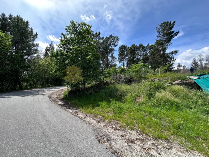 Terreno para Venda em Ribas Foto 3