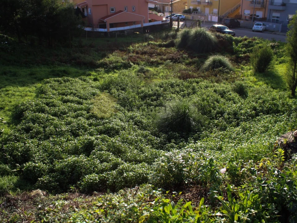 Terreno para Venda em Fânzeres e São Pedro da Cova Foto 4