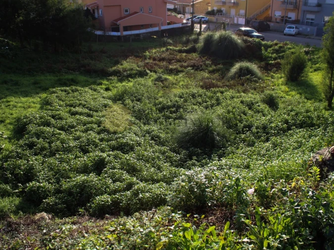Terreno para Venda em Fânzeres e São Pedro da Cova Foto 4