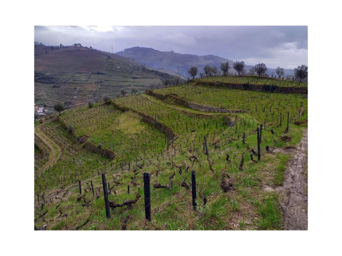 Quinta T0 para Venda em Sever Foto 6