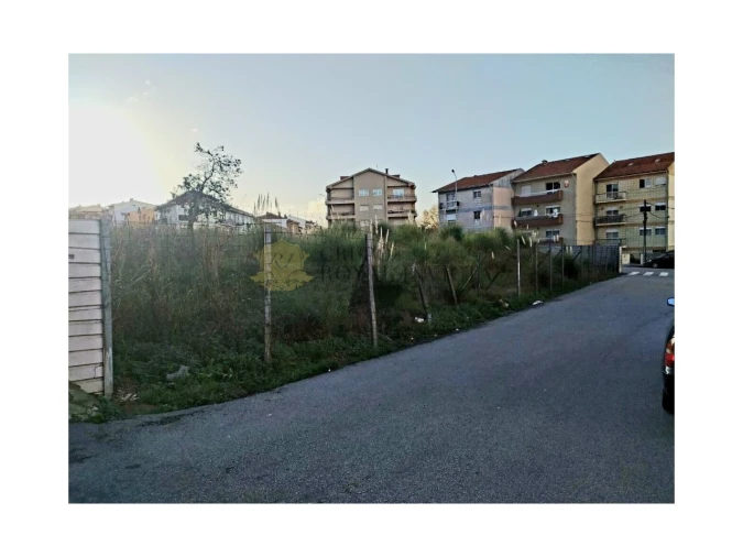 Terreno para Venda em Oliveira do Douro Foto 8