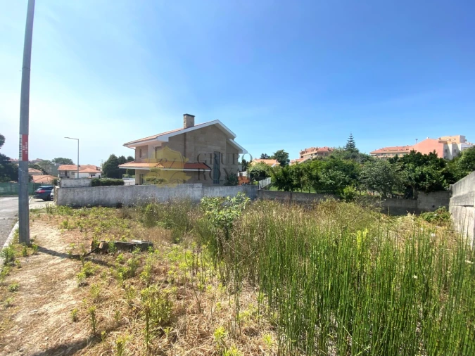 Terreno para Venda em Canelas Foto 5