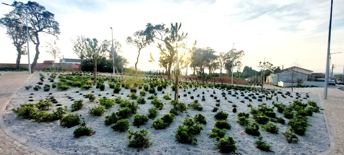 Terreno para Venda em Paramos Foto 14