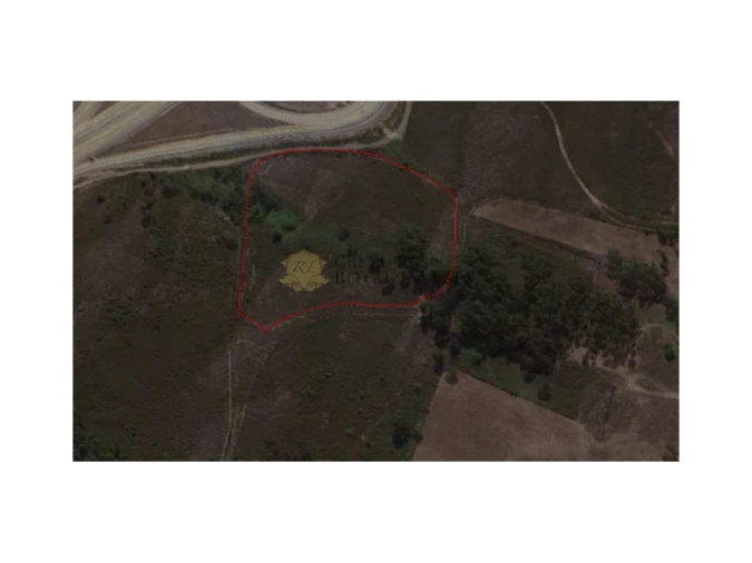 Terreno para Venda em Campo e Sobrado Foto 7