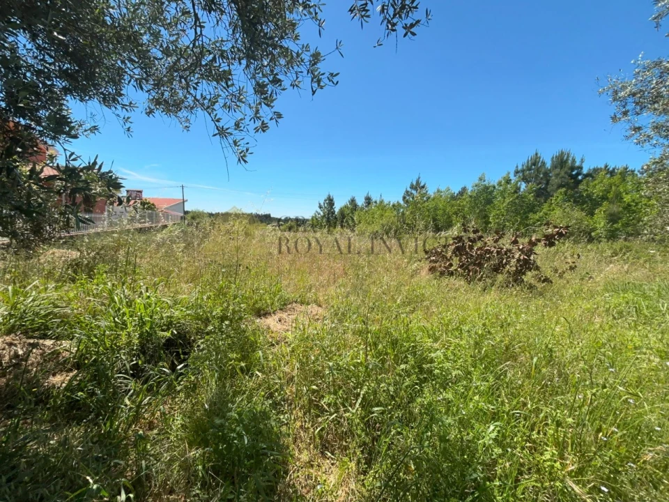 Terreno para Venda em São Lourenço do Bairro Foto 3