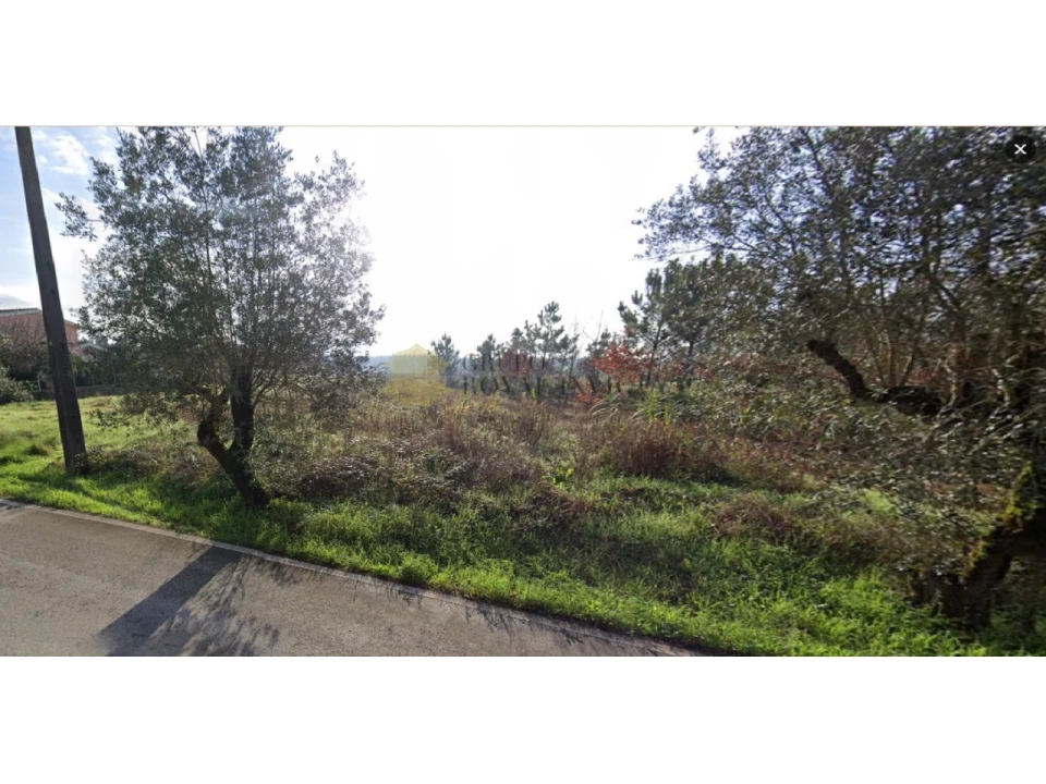 Terreno para Venda em São Lourenço do Bairro Foto 4