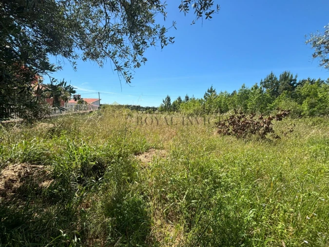 Terreno para Venda em São Lourenço do Bairro Foto 6