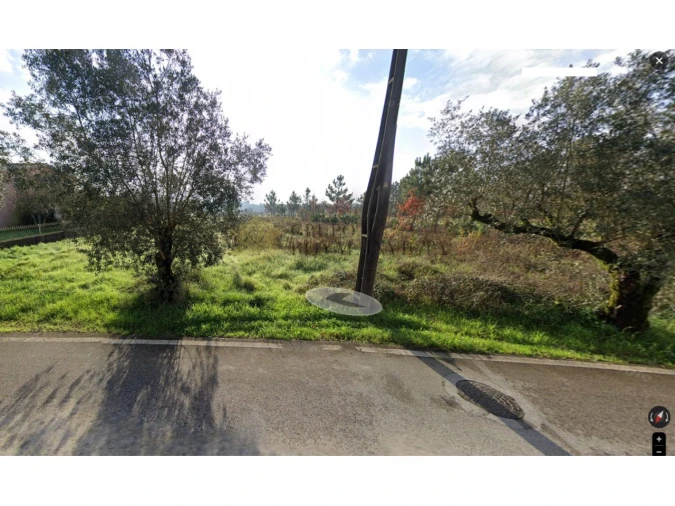 Terreno para Venda em São Lourenço do Bairro Foto 5