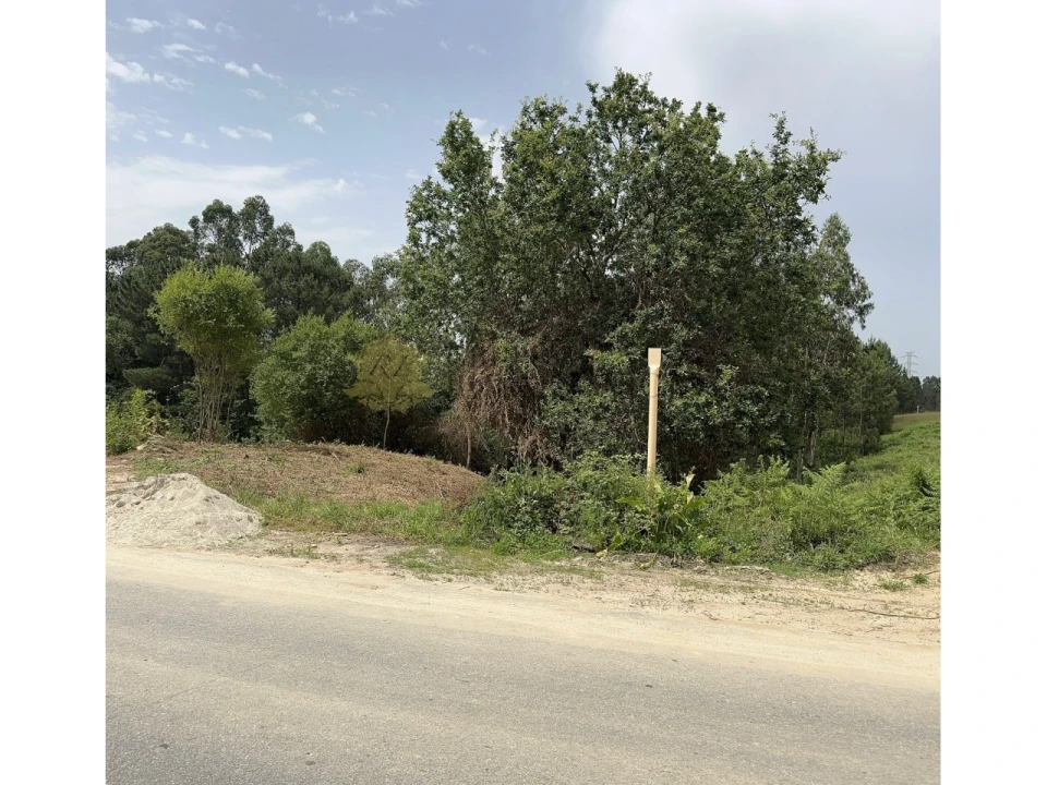 Terreno para Venda em Foz do Sousa e Covelo Foto 4