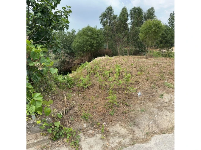 Terreno para Venda em Foz do Sousa e Covelo Foto 2